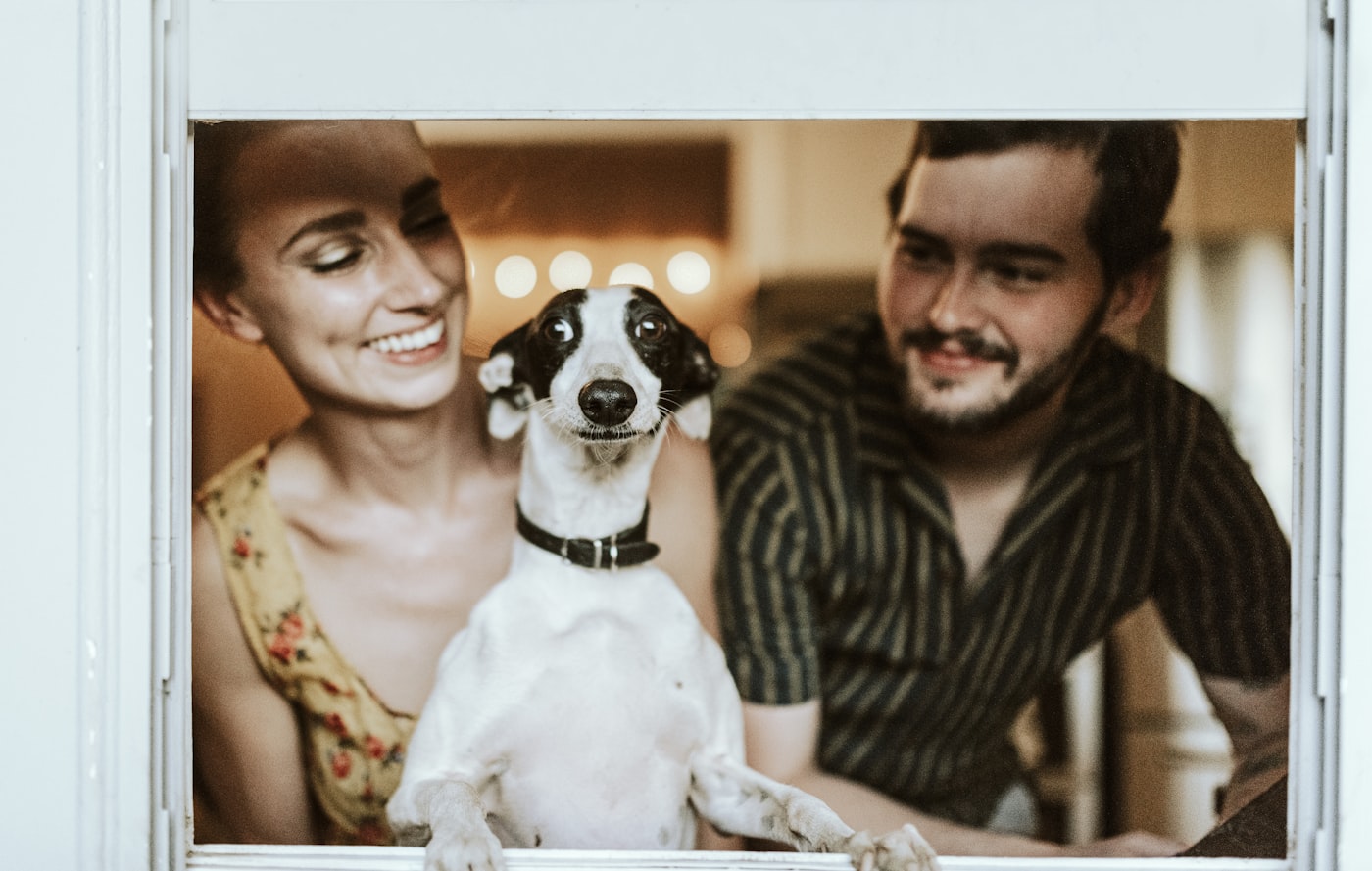 Brinquedos interativos para cães: como escolher o ideal para cada perfil